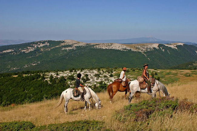 rando cheval haute provence