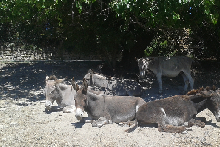 Groupe