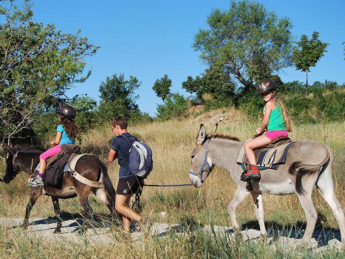 Randonnée en Provence