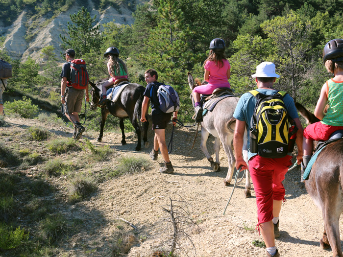 Les ânes portent les enfants dans les côtes