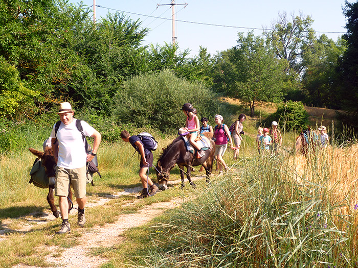 Randonnée dos d'âne en Haute Provence