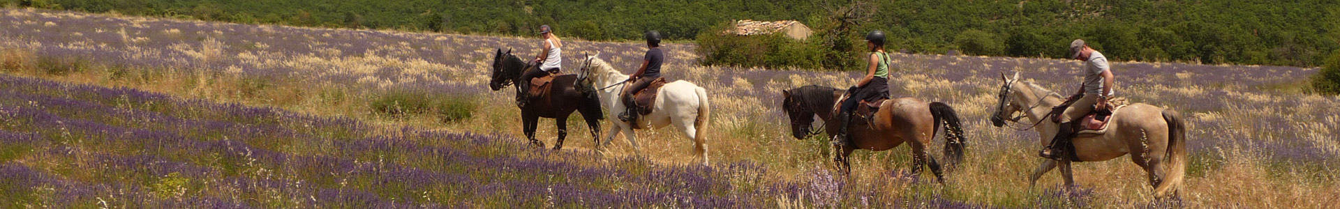 Randonnée cheval haute provence