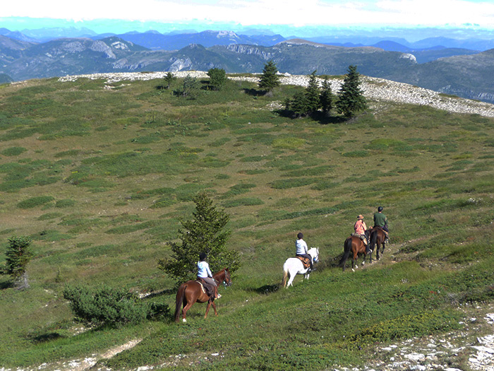 Crêtes de la montagne de Lure (alt 1400 m )