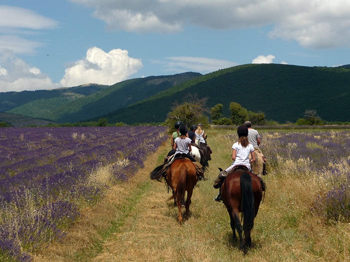 Vallée de Lardiers