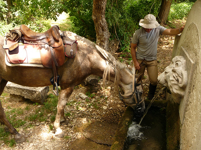 Fontaine du Boeuf