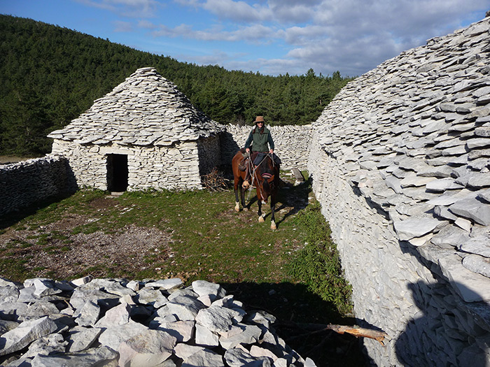 Bergerie Terre des Roux