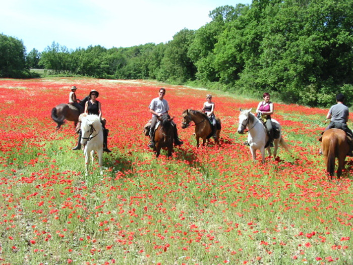 Printemps en Provence